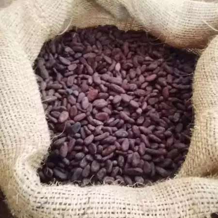 Cata Cacao